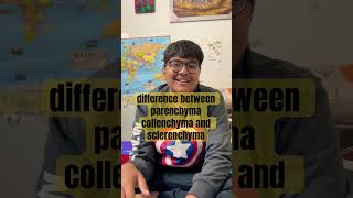 difference between parenchyma collenchyma and sclerenchymashortvideo [upl. by Basil544]