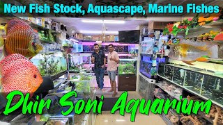 Aquarium Fish Price in Dhirsoni Aquarium amp Pets Store in Thane [upl. by Brown]