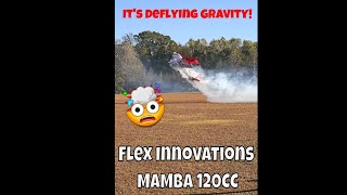 🤯 Epic RC Aerobatic Tricks Hover with a Mamba 120rc rcplanes rcplane aviation flying [upl. by Gilemette781]