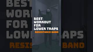 Best workout for mid and lower traps [upl. by Ten]