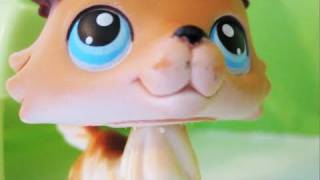 Littlest Pet Shop Popular Episode 7 Alls Fair in Love and War [upl. by Goulder]