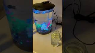 The EASIEST way to reduce Nitrite levels in your aquarium [upl. by Kerred]