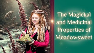 The Magickal and Medicinal Properties of Meadowsweet [upl. by Nnylirehs330]