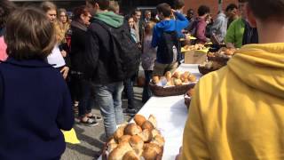 Gründonnerstag  St Ansgar Schule  Hamburg [upl. by Kcub]