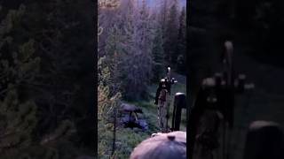 Epic Archery Hunting Highlight Reel 5 Killshots [upl. by Enneiviv]