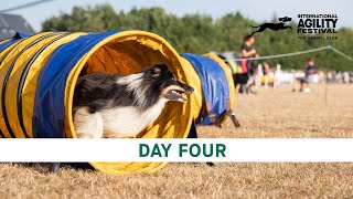 The Kennel Club International Agility Festival 2024  Day 4 Main Ring [upl. by Krantz972]