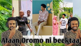 AFAAN OROMO NIBEYTA HI new oromo NewEthiopian AndualemGosaa [upl. by Irehc]