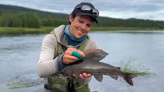 How I Fish Streams  A Day of Fly Fishing the Vindel River [upl. by Urd]