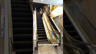 Escalator Prank Gone Wrong😂 shorts youtubeshorts alfesh [upl. by Romain]