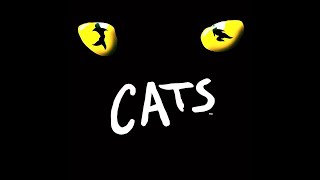 MEMORY from CATS sung by Dennis Tschirner [upl. by Salesin906]