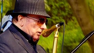 Van Morrison Live on Cyprus Avenue [upl. by Kenlee535]