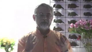 Palestra Bhagavad Gita com Dr Ruguê G de Estudos de Evolução da Consciência e Meditação [upl. by Nipsirc193]