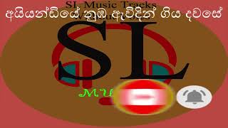 aiyandiye nuba awidin අයියන්ඩියේ නුඹ ඇවිදින් Gunadasa Kapuge  Karaoke Lyrics [upl. by Niwdog]