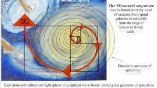 A reason for the Fibonacci Spiral in Nature An Artist Theory [upl. by Aelyak]