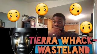 Talk to em Tierra Tierra Whack – Wasteland Screen Visualizer reaction [upl. by Yenffit]