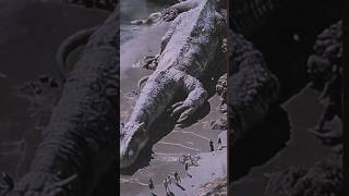 Loch Ness Monster found years ago nightmare beast creepy giant ai horrorstory lochness [upl. by Hajan]