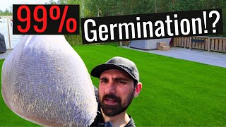 Secrets to FAST Grass Growth Best method for MAX germination [upl. by Arrimat]