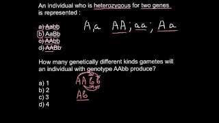 Heterozygosity Homozygosity problem and solution [upl. by Iztim]