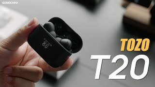 TOZO T20 ENC Wireless Earbuds Review Great Value For Budget Money [upl. by Kimbell]