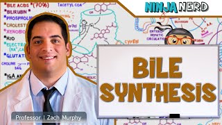 Gastrointestinal  Bile Synthesis [upl. by Eybbob]