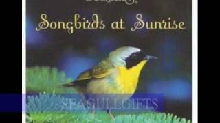 Dan Gibson  SONGBIRDS AT SUNRISE Solitudes  ON SALE NOW [upl. by Walden671]