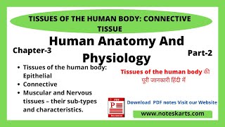 Connectives Tissue  Ch3 Human Anatomy amp Physiology  Tissues of the human body Notes lecture2 [upl. by Nauaj]