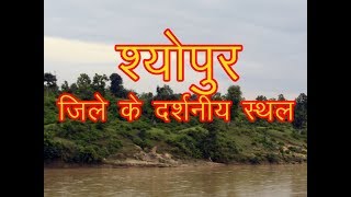 Top Place to visit in sheopur  श्योपुर मे घूमने के प्रमुख दर्शनीय स्थल [upl. by Stouffer]