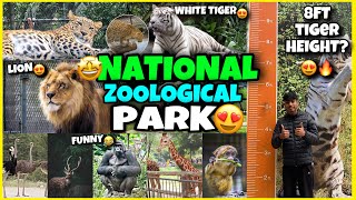 Delhi National ZOOLOGICAL Park😍 Pd Harsh  youtubeindia vlogs [upl. by Mcknight]