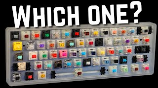 How to Choose the Perfect Switch For YOU [upl. by Zetta355]