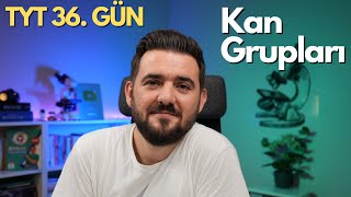 Kan Grupları  39 Günde TYT Biyoloji Kampı  36 GÜN  yks2025 [upl. by Allicsirp]