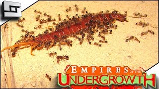 COLONY UNDER ATTACK Empires of the Undergrowth Gameplay [upl. by Island]