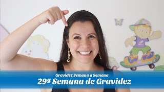 29ª Semana de gestação [upl. by Norvin]