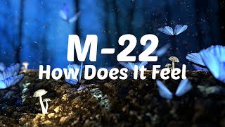 M22  How Does It Feel Lyric Video [upl. by Ellenaej]