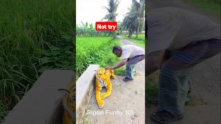 Prank On Murubbi Most Fake Scary Tiger shorts funnyshorts memes [upl. by Davena348]