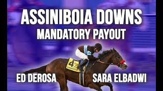 Assiniboia Downs Closing Day Mandatory Payout Pick 5 [upl. by Aticilef]