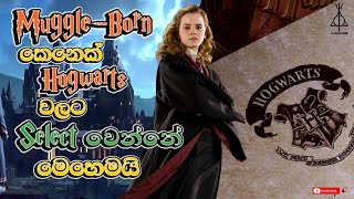 හර්මයිනි Hogwarts ගියේ මෙහෙමයි  How Muggleborn Get their Hogwarts letter [upl. by Alicea]