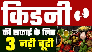 ये 3 जड़ी बूटिया कर देगी किडनी डेटॉक्स ✅  Best 3 Herbs for Kidney Cleaning  Kidney Detox at Home [upl. by Retnyw]