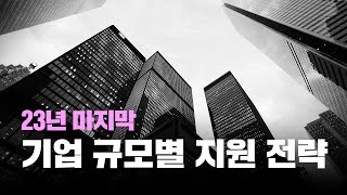 23년 마지막 기업 규모별 지원 전략  24년 취업 전략까지 [upl. by Eldnek270]