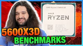 AMD Ryzen 5 5600X3D CPU Review amp Benchmarks Last Chance Upgrade [upl. by Aztiley379]