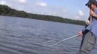 Fly Fishing for Tarpon in Carambola Venezuela [upl. by Stig]