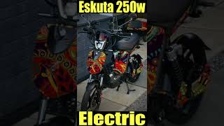 Eskuta 250w electric bike chose a colour [upl. by Dorris]