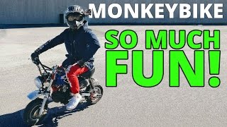 MORSOMSTE SYKKELEN JEG HAR KJØRT  Monkey Bike Wheelies  Norsk Motovlog [upl. by Atinob]