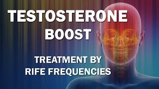 Testosterone Boost  RIFE Frequencies Treatment  Energy amp Quantum Medicine with Bioresonance [upl. by Thielen487]