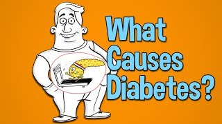 What causes diabetes high blood sugar and type 2 diabetes [upl. by Romie]