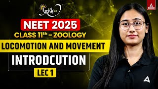 LOCOMOTION AND MOVEMENT CLASS 11  NEET 2025  INTRODUCTION  MUSCULAR SYSTEM [upl. by Krucik]