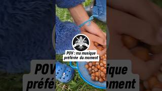 Que font ces petits écureuils  🐿🥜🌲 [upl. by Pettit683]