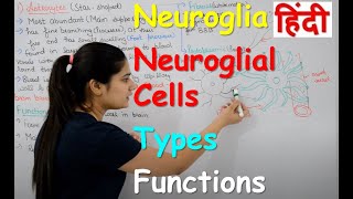 Neuroglia in Hindi  Types  Functions  Structure  neuroglial cells  Rajneet Medical Education [upl. by Gerek]