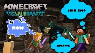 Day9 Lifesteal Public Smp  Minecraft live stream in Hindi  JAVA  PE Minecraft lifestealsmp [upl. by Anirad429]