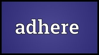 Adhere Meaning [upl. by Pronty]