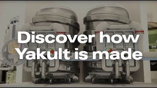 Yakult  How It’s Made [upl. by Lrac632]